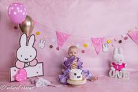 naturalcharms-fotografie-cakesmash-fotoshoot-nijntje-fotostudio-drachten-friesland-13