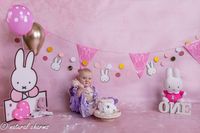 naturalcharms-fotografie-cakesmash-fotoshoot-nijntje-fotostudio-drachten-friesland-34