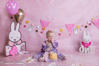 naturalcharms-fotografie-cakesmash-fotoshoot-nijntje-fotostudio-drachten-friesland-39