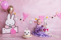 naturalcharms-fotografie-cakesmash-fotoshoot-nijntje-fotostudio-drachten-friesland-4