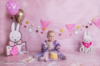 naturalcharms-fotografie-cakesmash-fotoshoot-nijntje-fotostudio-drachten-friesland-40