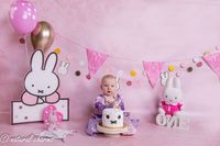 naturalcharms-fotografie-cakesmash-fotoshoot-nijntje-fotostudio-drachten-friesland-6