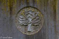 naturalcharms-rouwfotografie-fotografie-begraafplaats-leeuwarden-spanjaardslaan-16