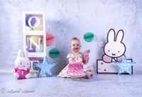 naturalcharms-fotografie-goedkope-cakesmash-fotoshoot-nijntje-fotostudio-drachten-friesland-16