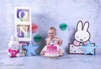 naturalcharms-fotografie-goedkope-cakesmash-fotoshoot-nijntje-fotostudio-drachten-friesland-6