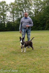 naturalcharms-fotografie-Nederlandse bullterrier club-clubmatch dr. cohen memorial trophy-N.B.T.C.-2023-23