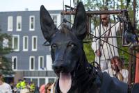 naturalcharms-fotografie-de reuzen-royal de luxe-culturele hoofdstad 2018-2423