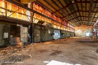 naturalcharms-fotografie-urbex-belgie-imperia piste-imperia automobile-2024-1