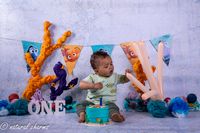 naturalcharms-fotografie-cakesmash-finding nemo-fotostudio-drachten-friesland-10