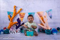 naturalcharms-fotografie-cakesmash-finding nemo-fotostudio-drachten-friesland-11