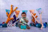 naturalcharms-fotografie-cakesmash-finding nemo-fotostudio-drachten-friesland-16