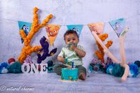 naturalcharms-fotografie-cakesmash-finding nemo-fotostudio-drachten-friesland-17