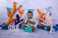 naturalcharms-fotografie-cakesmash-finding nemo-fotostudio-drachten-friesland-19