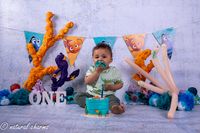 naturalcharms-fotografie-cakesmash-finding nemo-fotostudio-drachten-friesland-22