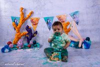 naturalcharms-fotografie-cakesmash-finding nemo-fotostudio-drachten-friesland-35