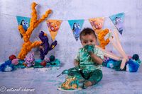 naturalcharms-fotografie-cakesmash-finding nemo-fotostudio-drachten-friesland-40