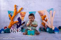 naturalcharms-fotografie-cakesmash-finding nemo-fotostudio-drachten-friesland-8