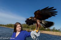 naturalcharms-fotografie-modellenshoot met roofvogels-model Lisanne Kuiper-2