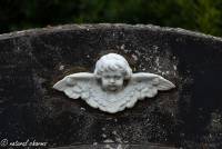 naturalcharms-rouwfotografie-fotografie-begraafplaats-leeuwarden-50
