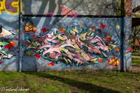 naturalcharms-fotografie-streetart-graffiti-leeuwarden-skatepark-sporthal nylan-2020-3752