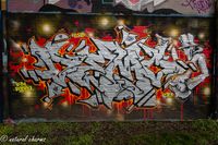 naturalcharms-fotografie-streetart-graffiti-leeuwarden-skatepark-sporthal nylan-2020-3754
