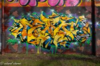 naturalcharms-fotografie-streetart-graffiti-leeuwarden-skatepark-sporthal nylan-2020-3757