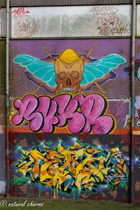 naturalcharms-fotografie-streetart-graffiti-leeuwarden-skatepark-sporthal nylan-2020-3765