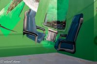 naturalcharms-fotografie-streetart-graffiti-leeuwarden-station cammingaburen-graffitiplatform leeuwarden-2020-3780