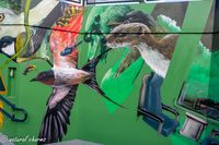 naturalcharms-fotografie-streetart-graffiti-leeuwarden-station cammingaburen-graffitiplatform leeuwarden-2020-3781