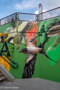 naturalcharms-fotografie-streetart-graffiti-leeuwarden-station cammingaburen-graffitiplatform leeuwarden-2020-3782