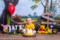 cakesmash-fotoshoot-winny de pooh-fotostudio-drachten-friesland-naturalcharms-fotografie-1