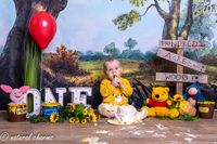 cakesmash-fotoshoot-winny de pooh-fotostudio-drachten-friesland-naturalcharms-fotografie-13