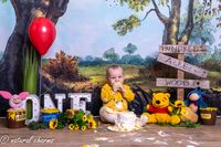 cakesmash-fotoshoot-winny de pooh-fotostudio-drachten-friesland-naturalcharms-fotografie-15