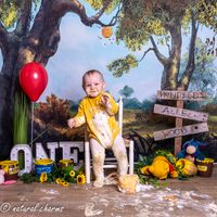 cakesmash-fotoshoot-winny de pooh-fotostudio-drachten-friesland-naturalcharms-fotografie-27