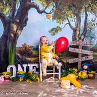 cakesmash-fotoshoot-winny de pooh-fotostudio-drachten-friesland-naturalcharms-fotografie-34