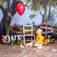 cakesmash-fotoshoot-winny de pooh-fotostudio-drachten-friesland-naturalcharms-fotografie-38