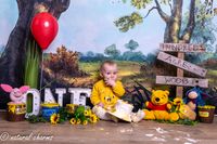 cakesmash-fotoshoot-winny de pooh-fotostudio-drachten-friesland-naturalcharms-fotografie-5