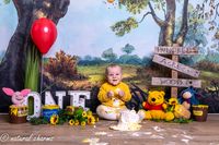 cakesmash-fotoshoot-winny de pooh-fotostudio-drachten-friesland-naturalcharms-fotografie-8